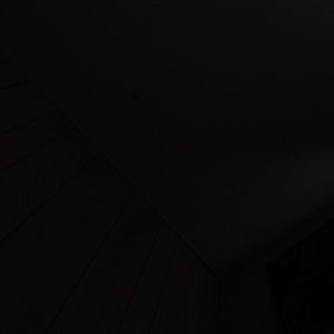 Meet your Posher, Jerry